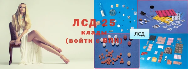 шишки Балабаново