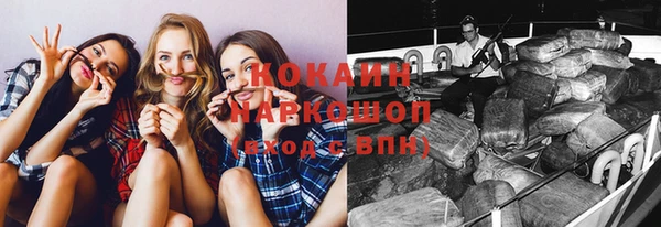 шишки Балабаново