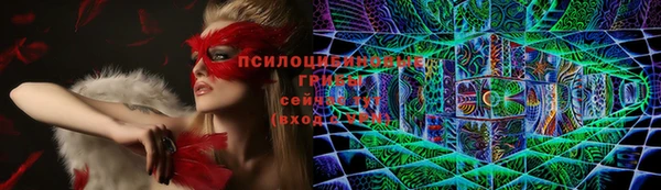 шишки Балабаново