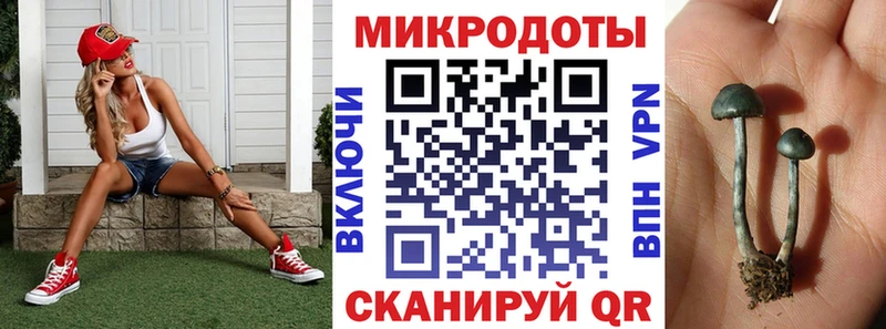 наркошоп  Чусовой  hydra tor  Галлюциногенные грибы ЛСД 